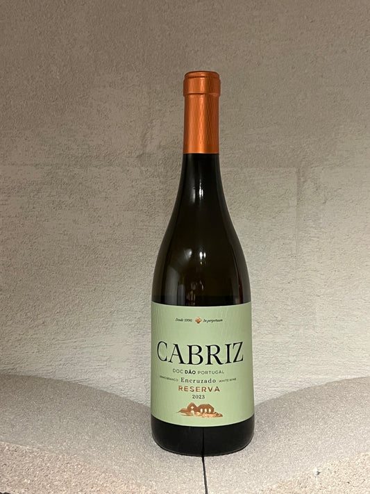 Cabriz reserva  - Encruzado - Dao